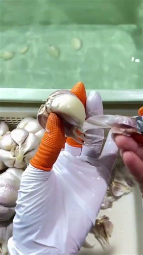 Easiest Way to Peel Garlic – Stress-Free