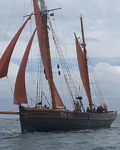 Here comes Pilgrim! 129 years old, this Brixham Sailing Trawler is an impressive boat with an excellent crew! Here she is sailing past Tallulah at Falmouth Classics on Friday! John Pilgrim! - latest Voyages and availability here: https://classic-sailing.com/voyage-search/?v=9179&d=&t=&date=2024-06-17&dur=&b=&a=&sk=&submit=Search #falmouthclassics #classicsailing #gaffrigged #livingheritage | Classic Sailing