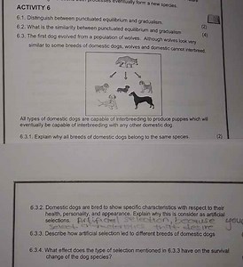 Activity 66.1 Distinguish between punctuated equilibrium and ... | Filo