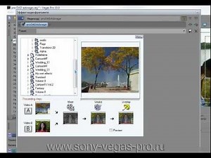 УРОК 02 СКАЧИВАНИЕ ADORAGE EFFECTS БАЗОВЫЙ УРОК