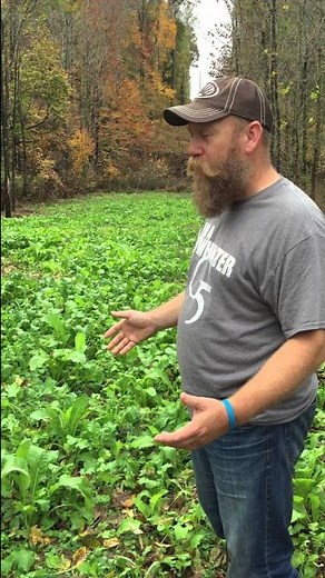 throw and grow food plot tutorial