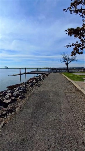 A Peaceful Walk by the Bay at Marina Park | San Leandro, CA #california #travel #fyp #shorts