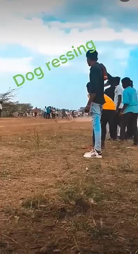 D.veer..yadav_42 (@d.veer..royel42)’s videos with original sound - D.veer..yadav_42