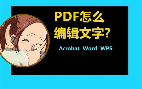 怎么在pdf上编辑文字，分别使用Acrobat、WPS和微软word演示