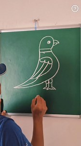 Parrot Drawing Easy 👌👌 . . #drawing #draw #artist #artwork #painting #instagram #india #love #trending #viral | Jitendra Patel