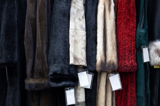Chicago fur ban rejected by City Council: ‘About personal choice’