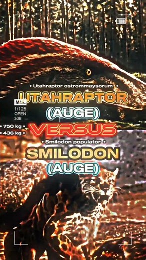 Utahraptor vs Smilodon #utahraptor #smilodon #prehistoric #dinosaur #bigcat #wisedit #animals
