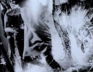 Westbam Celebration Generation 1993