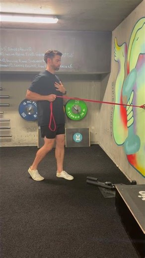 Single Arm Banded Row