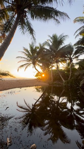 Volume up for the beautiful, simple songs of Kauai mornings 🌴🌴 #beautiful #kauaicalls | Kauai Calls