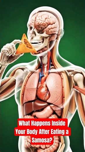 What Happens Inside Your Body After Eating a Samosa? 😳🥟 #shorts #ai #samosa