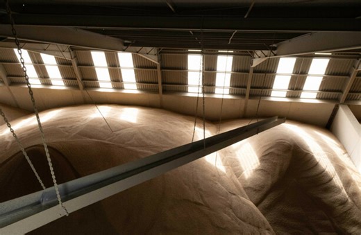 A Pathway to Net Zero: How Gas Networks Ireland is championing Irish innovation with green hydrogen