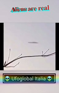 Il termine UFO è diventato sinonimo di navi spaziali aliene nella cultura popolare e la maggior parte delle discussioni sugli UFO ruota attorno a questa tesi. Il concetto di UFO si è evoluto in un mito di primo piano nella cultura moderna, con appassionati e devoti che hanno istituito organizzazioni varie e persino culti religiosi. 👽🌑🌐👽🌑🌐👽🌑🌐👽🌑🌐👽🌑 The term UFO has become synonymous with alien spaceships in popular culture and most UFO discussions revolve around this thesis. The conc