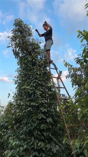 Vietnam’s Coffee Will Surprise You! ☕