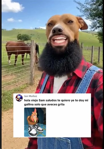 gallina mala 🤣corran 🤣😭🛴🐴 #streamer #viral #elviejosam #foryou #fyp