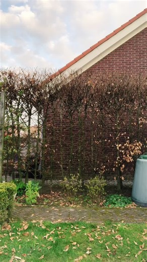 Our new dancemove🕺#footloose #footloosechallenge #fy