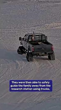 Protecting Polar Bears And People: Bear-Dar Successfully Redirects Bears Away From Research Station