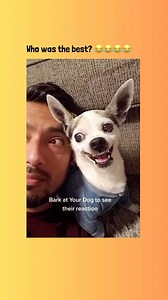 Omg 😂😂😂😂 | Animal Ark