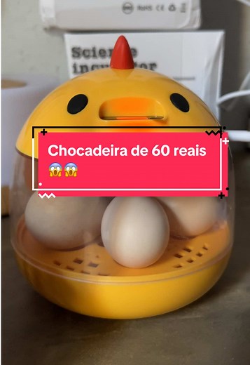 Teste de mini chocadeira para ovos: descubra o resultado!