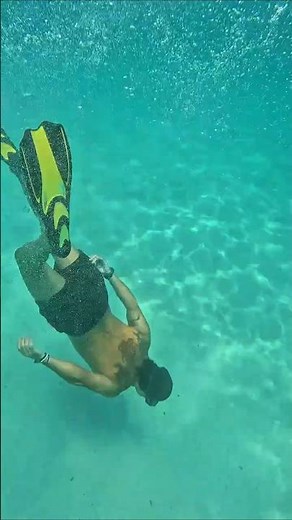 Paseo en Barco en Mallorca | Cala, Snorkel y Llaüt Privado