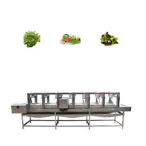 [Hot Item] Fruit Vegetable Drying Machine for Cabbage Spinach Mango Tomato Dryer