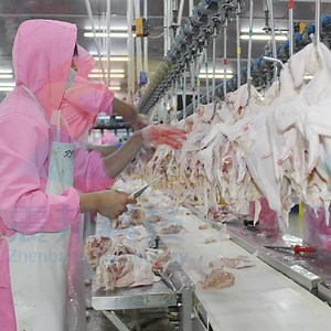 [Hot Item] Poultry Processing Plant Poultry Scalder Chicken Scalder Poultry Scalder and Plucker