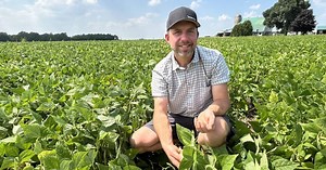 Edible Bean School: Strip tillage balances moisture retention with seedbed prep