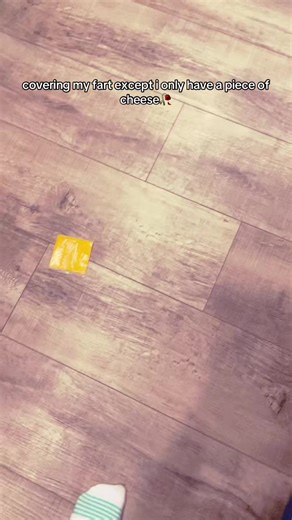 🥀#foryoupage #fypシ゚viral #viralvideo #meme #fart | just the cheese