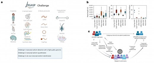 Assessment of long-read RNA-seq methods for transcript identification and quantification. »  Center for Environmental & Human Toxicology » College of Veterinary Medicine » University of Florida
