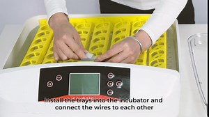 Amazon.com : Egg Incubator Automatic Digital Poultry Hatching Machine, Incubators for Hatching Eggs with LED Temperature Display and Humidity Control, Auto Turning for Hatching Chicken Duck Goose Quail Birds : Patio, Lawn & Garden