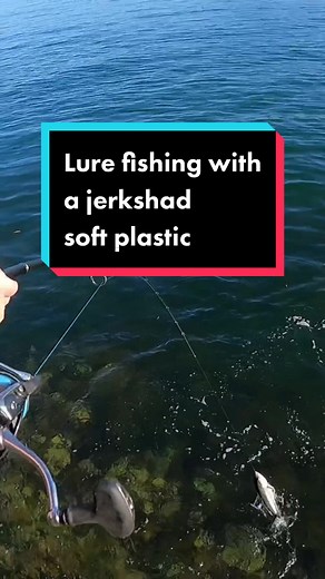 FLICKWITHMICKFISHING on TikTok