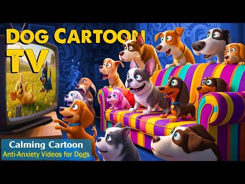 12 Hours of Music Cartoon for Dogs: Relaxing Dog TV in Colors They Can See! – Dog Cartoon with Music