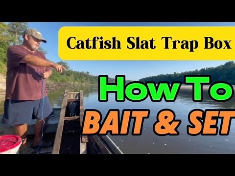 Catfish Slat Trap Box How To Bait & Set Fishing Boxes With Cheese