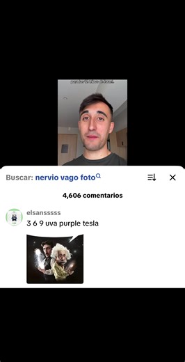 Exploring the 3-6-9 Theory with Tesla and Einstein