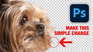 How to get better fur   hair cut outs in Photoshop by making a small change.