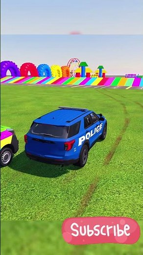 POLICE TRANSPORTING 024