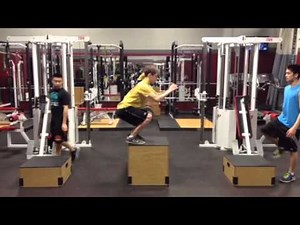Mike Mejia: The Importance of Proper Plyometric Training