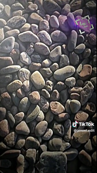 Best Transition Videos Compilation | Smoothest Transitions Ever