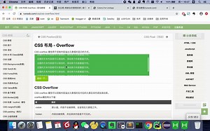 css零基础编程入门视频教程-21CSS布局 - Overflow控制内容溢出