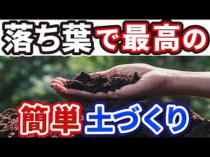 【家庭菜園】落ち葉で簡単にできる土作り【腐葉土の作り方】温床にもなる！