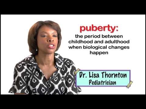 THE PUBERTY WORKSHOP: WHAT IS PUBERTY (Accessible Preview)