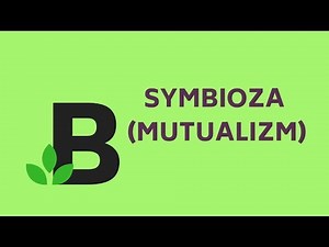 SYMBIOZA MUTUALIZM #ekologia zależności pokarmowe nieantagonistyczne - KOREPETYCJE z BIOLOGII - 148