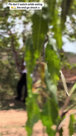 🤣🤣🤣 | funny prank video