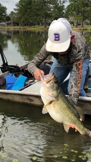 7.9K views · 123 reactions | Letting Her Go Youth angler Gabe is practicing fisheries conservation! He caught-and-released his 9 lbs. 4 oz. catch from a Marion County neighborhood pond, to pass those big-bass genes on to the next generation and maybe even provide another lifetime memory for a fellow angler. Well done! #YouthFishing #KidsThatFish #TrophyCatch | TrophyCatch Florida | Facebook