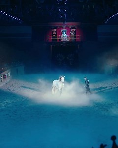 622 reactions · 87 shares |  Schaumburg - Gather your noble house for an epic 'knight' out! ✨ Save 15% with code 15MT today! All tickets include: ⚔️ Two-hour live tournament of jousting, sword fighting, and games of skill  Four-course feast fit for Kings and Queens  Magnificent horsemanship 礪 Flight of the royal falcon | Medieval Times Dinner & Tournament | Facebook