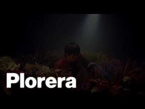 Arthur Nery - Plorera (Official Text Performance Film)