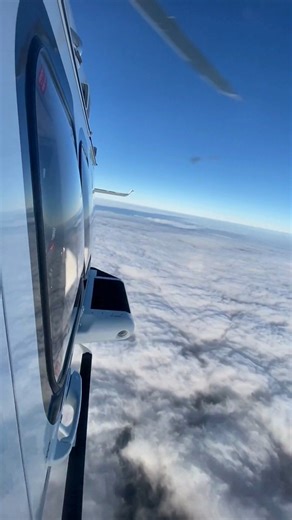 25K views · 159 reactions | Have you ever wondered how our...