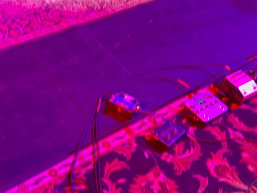 Lisa Fischer on Reels