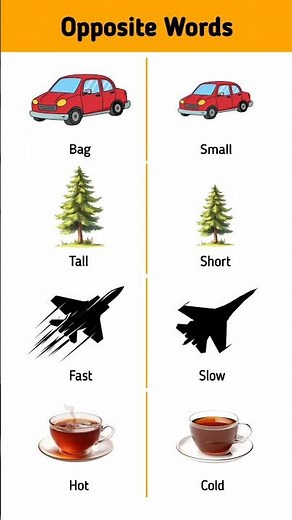 Opposite Words | Easy and Fun English Learning! | Learn English Opposite Words | Learn English Easy