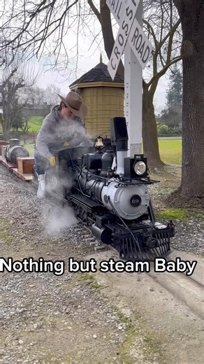 Steam train Baby!!! #train #railroad
